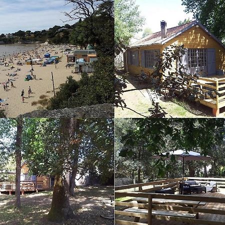 La Palombiere, Plage A 150M Meschers-sur-Gironde Eksteriør billede