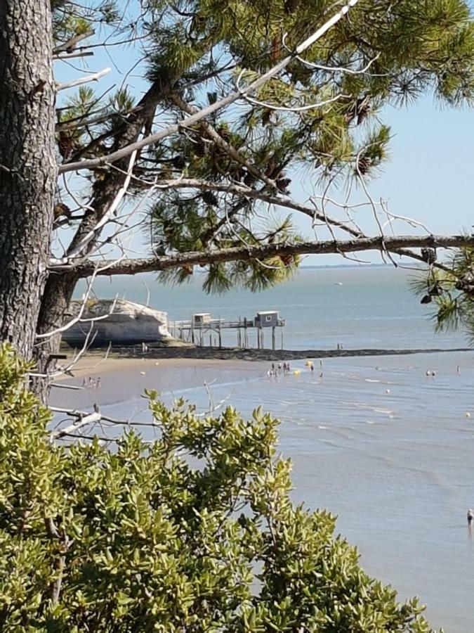 La Palombiere, Plage A 150M Meschers-sur-Gironde Eksteriør billede